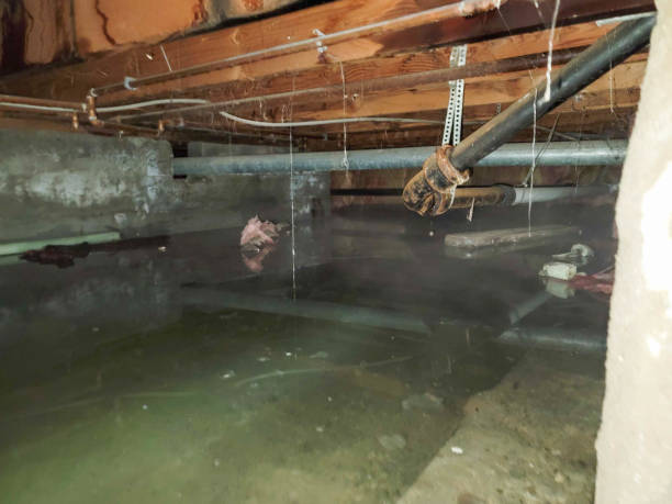 Best Water damage restoration services  in Largo, MD