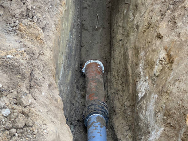 Best Flood damage cleanup  in Largo, MD