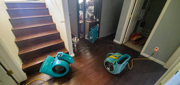 Best Flood damage cleanup  in Largo, MD
