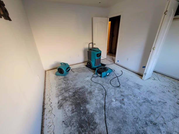 Best Mold removal after water damage  in Largo, MD