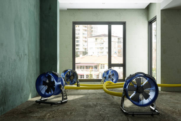 Best Emergency water damage restoration  in Largo, MD