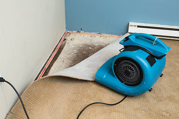 Best Flooded house restoration  in Largo, MD